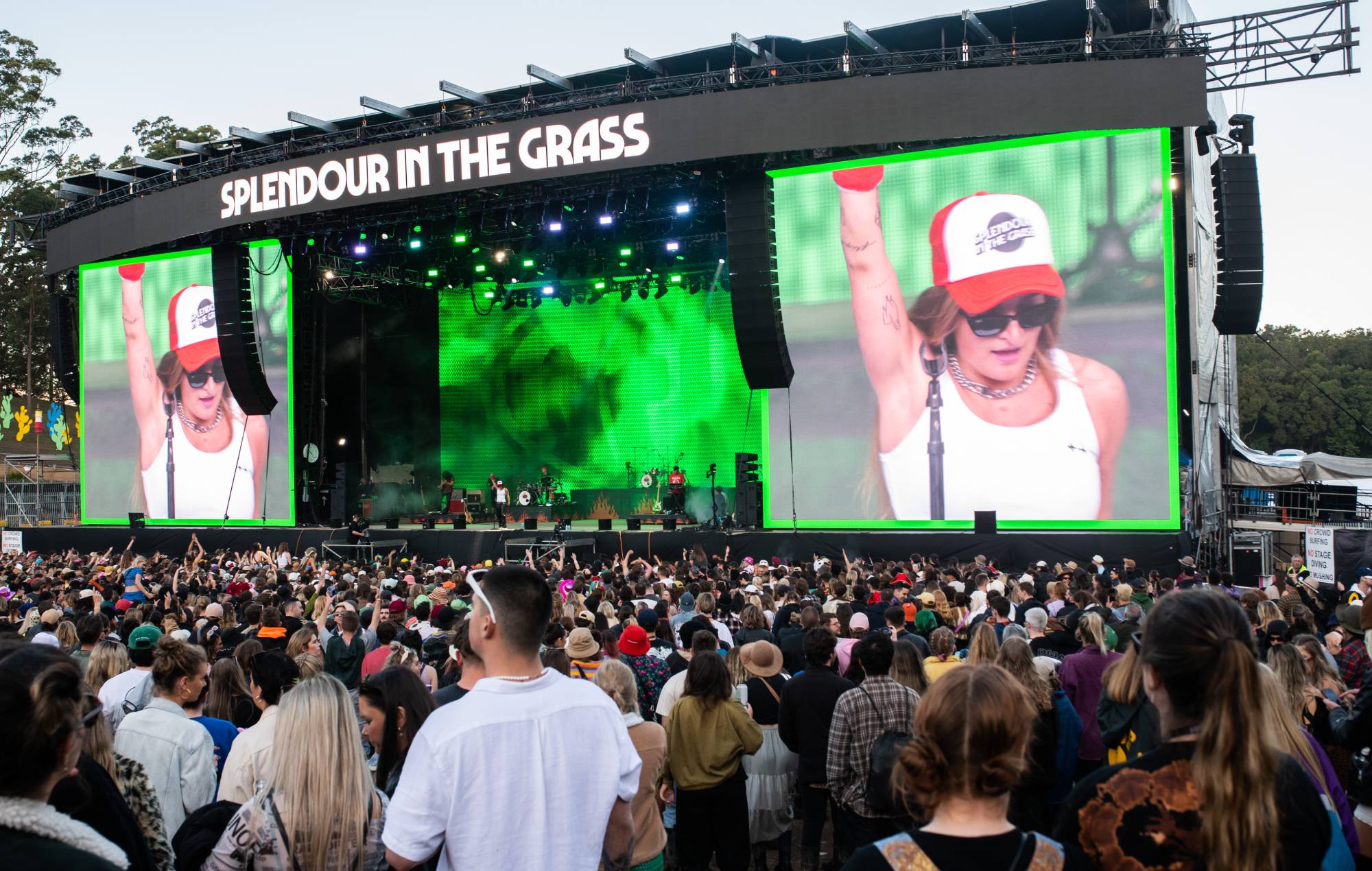 splendour in the grass