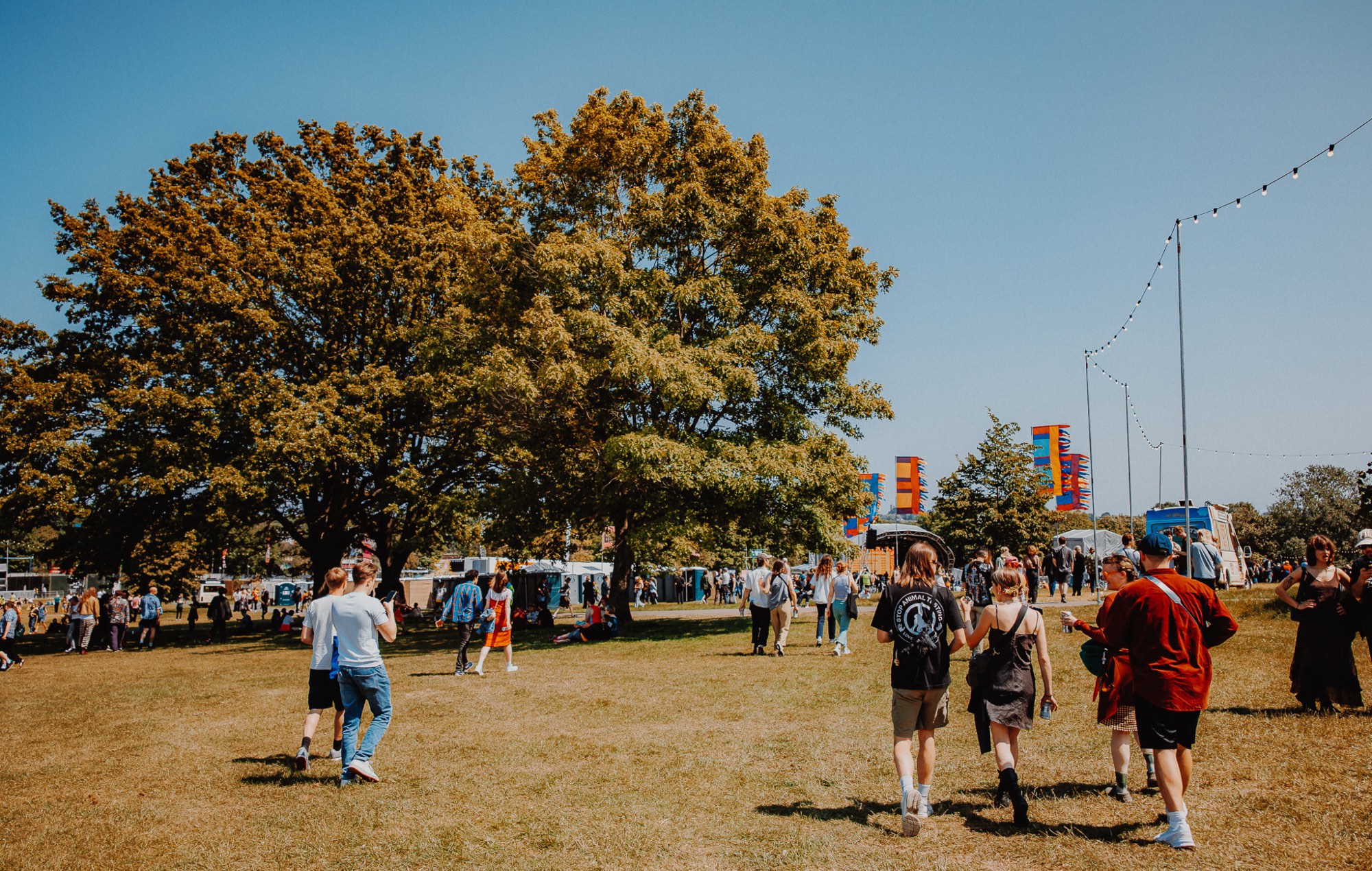 wide awake festival
