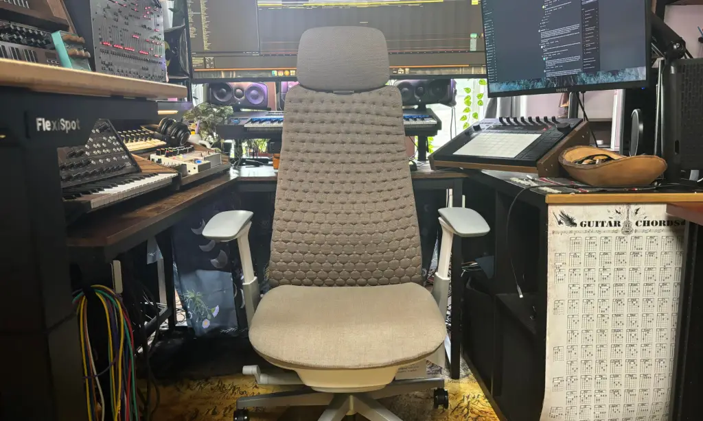 Fern Office Chair Review