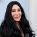 Cher drops bid for conservatorship over son