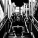 Kaskade Announces New Album : Undux