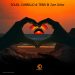 Terri B! Inspires an ADE-Ready Collection with ‘Love Shine’, Led by Soleil Carrillo