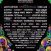 Elements Festival Drops Explosive Phase One Lineup for 2026