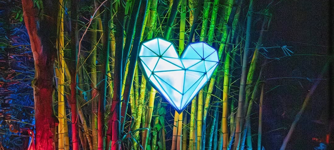 Bliss Burn 2026: A Masterclass in Conscious Connection and the Pura Vida Spirit